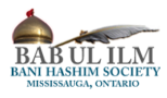 Babul Ilm Banihashim Society Logo